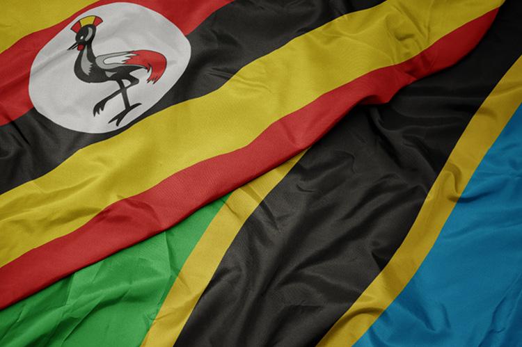 Tanzania-Uganda Oil Project Faces Financing Hurdles