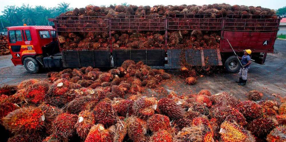 Malaysia Backs Ghana’s Bid to Lead Africa in Palm Oil Production