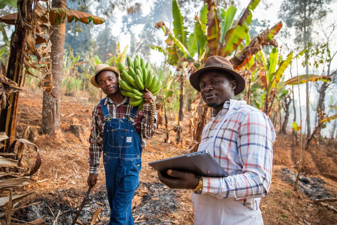 Peasant Farmers Association Urges Government to Restore Tax Waivers to Curb Rising Food Costs