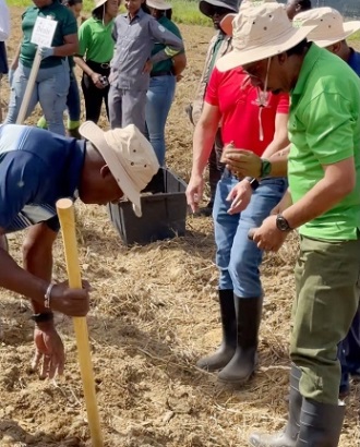 Ghana Gifts 10,000 Yam Seeds to Trinidad and Tobago to Boost Local Agriculture