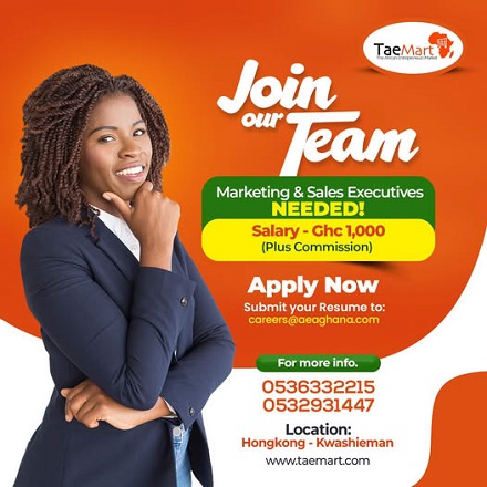Sales and Marketing Executive