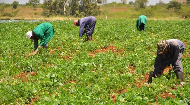 USDA Selects Ghana for Priority Agricultural Funding