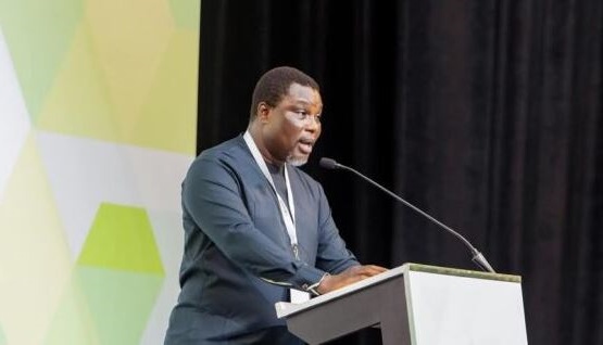Ghana Horticulture Sector Set to Benefit from 24-Hour Economy Initiative