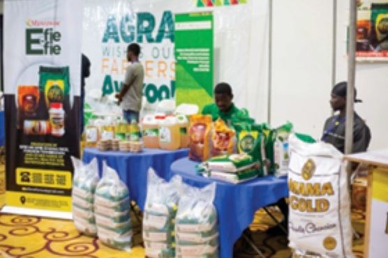 Horticulture Sector Takes Center Stage in Ghana’s 24-Hour Economy Plan