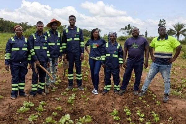 Tullow’s Agriventures Programme Fuels Ghana’s Growing Agribusiness Revolution