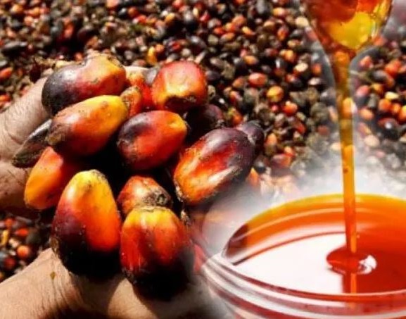 MoFA Launches Interventions to Close Palm Oil Supply Gap