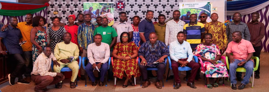 Bono Cashew Farmers Demand Fixed Price to Stop Underpricing by Aggregators