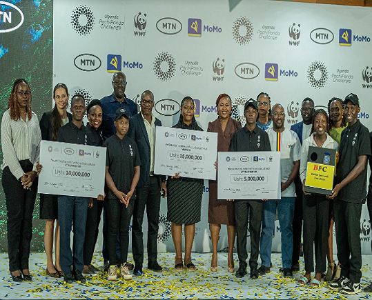 Inside the PachiPanda Challenge: Youth Entrepreneurs Building Africa’s Green Economy