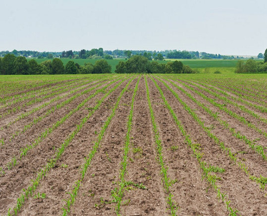 FAO: Africa Lags in Farm Mechanisation Despite Vast Arable Land