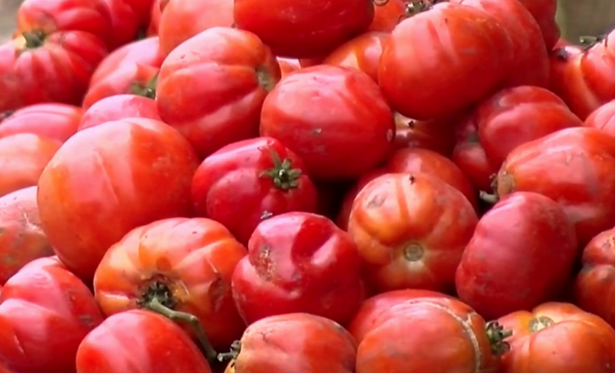 Burkina Faso Attack Triggers Ghana’s $5.7bn Tomato Import Reform Plan